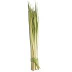 Palm Strips - Pack of 100