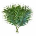 Teepee Palm Leaves - Pack of 15