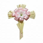 Fresh Small Palm Crosses 20"