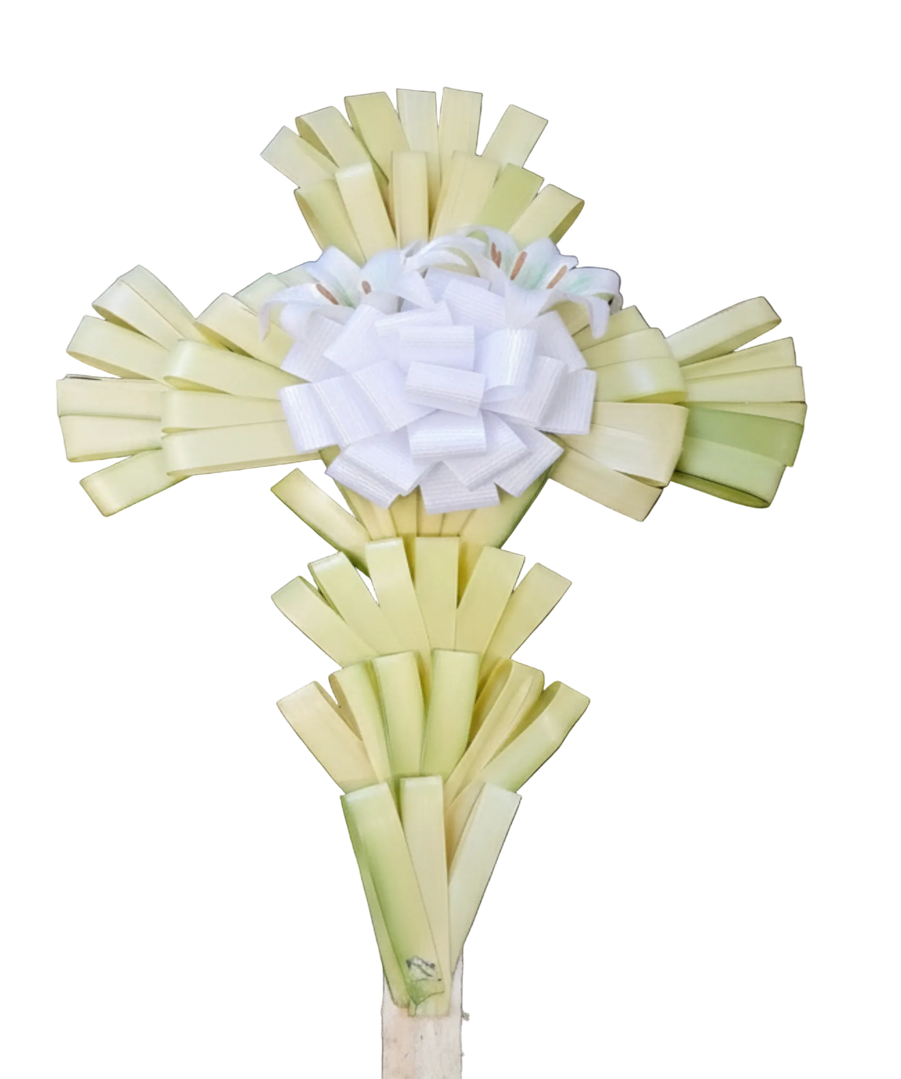 Fresh Medium Palm Cross 30"